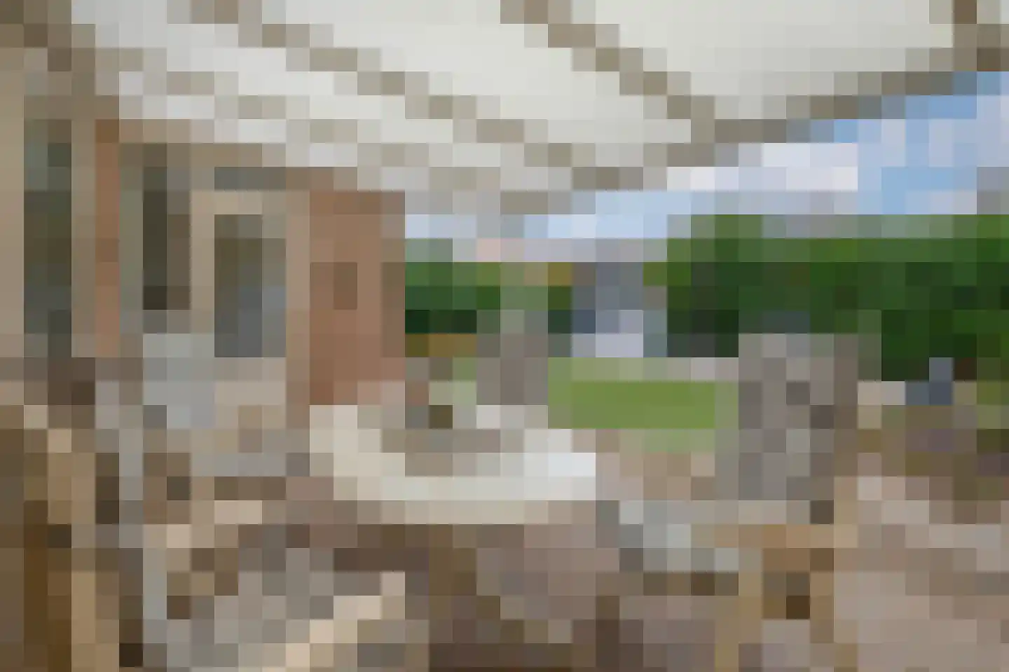 Agrimonie 8 Tegelen thumbnail 18