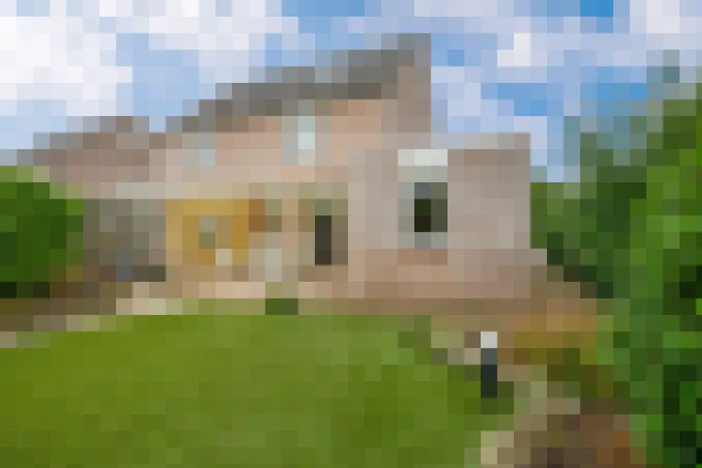 Agrimonie 8 Tegelen thumbnail 20