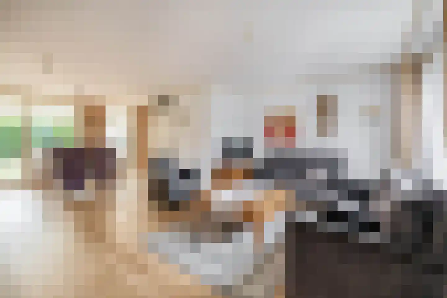 Agrimonie 8 Tegelen thumbnail 4