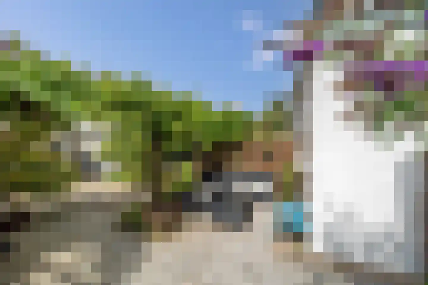 Agrippinastraat 17 Voorburg thumbnail 12