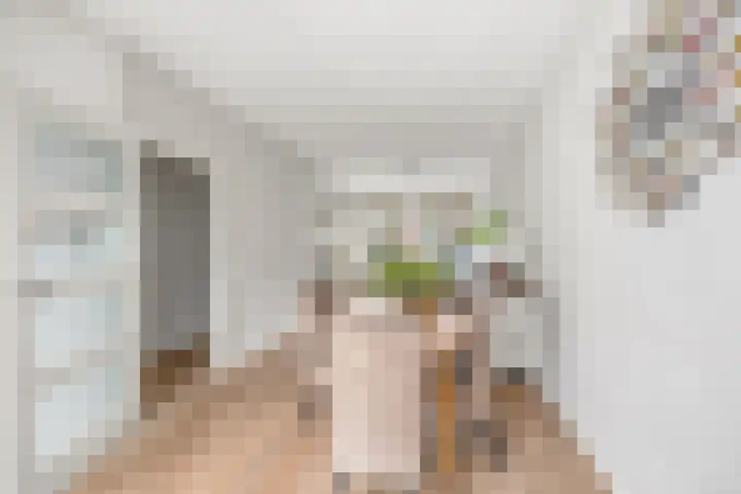 Agrippinastraat 17 Voorburg thumbnail 5