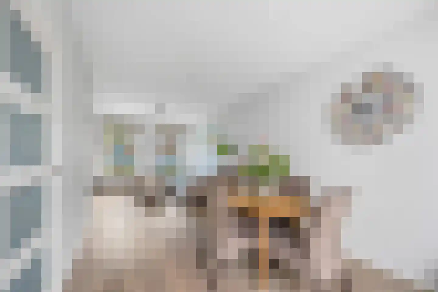 Agrippinastraat 17 Voorburg thumbnail 6
