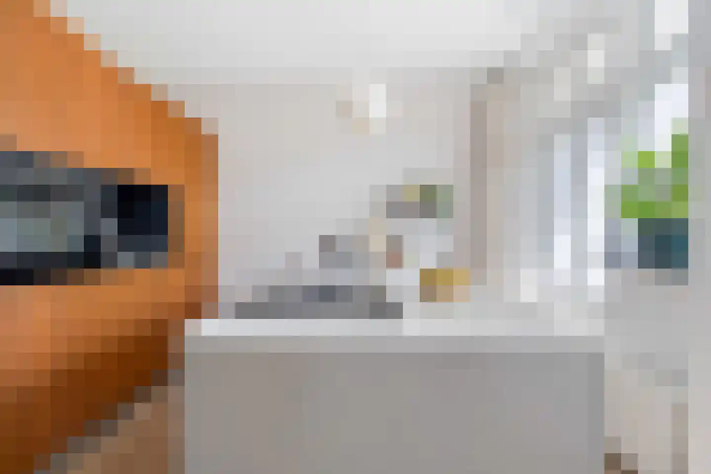 Agrippinastraat 24 Voorburg thumbnail 10