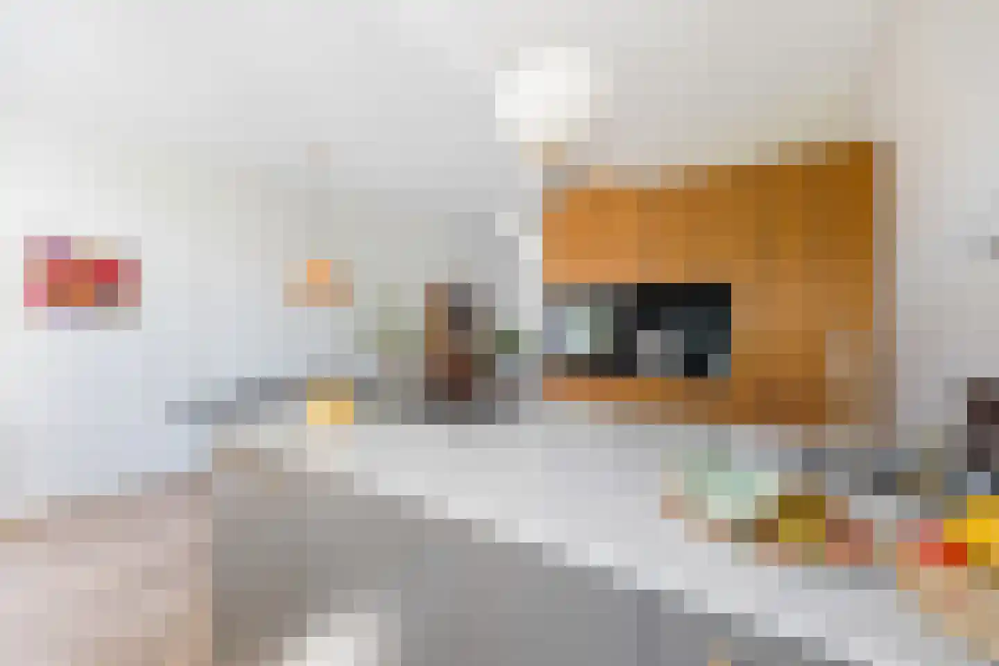 Agrippinastraat 24 Voorburg thumbnail 11