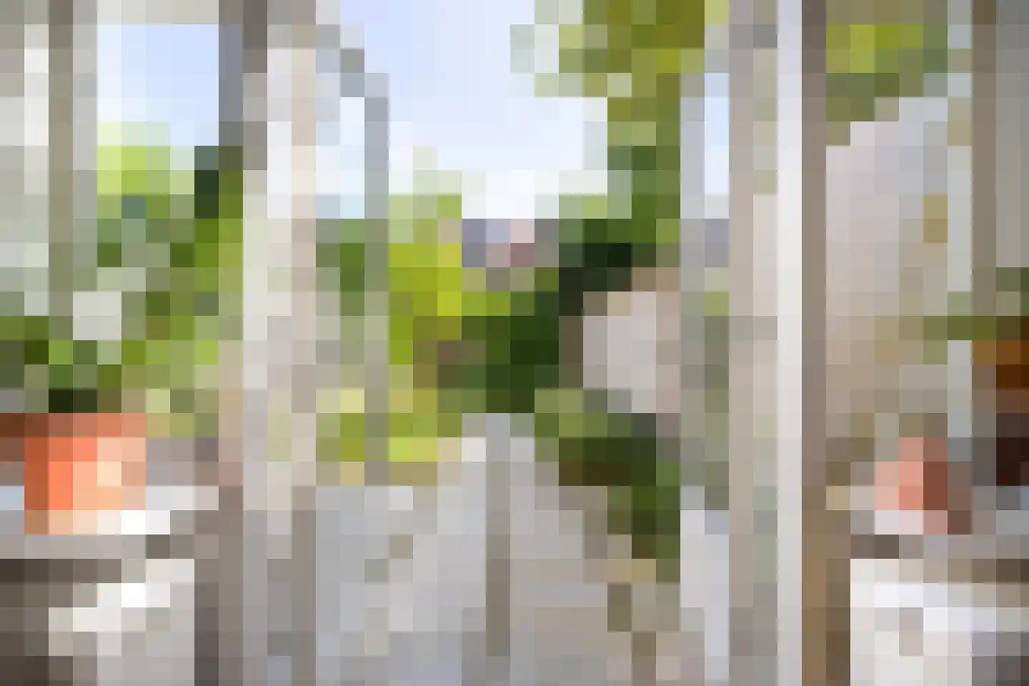 Agrippinastraat 24 Voorburg thumbnail 13