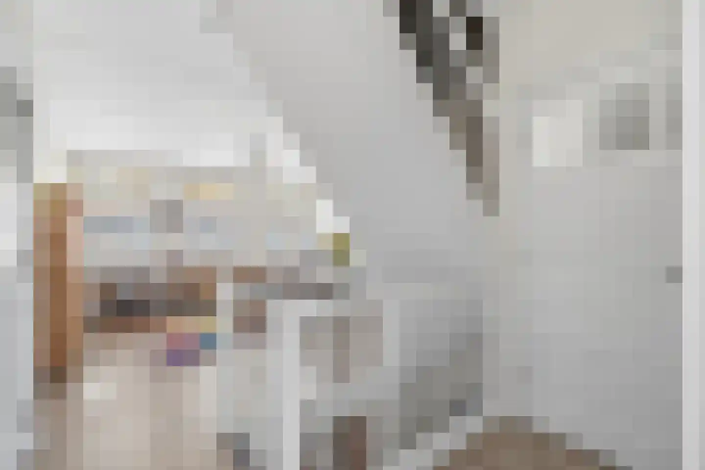 Agrippinastraat 24 Voorburg thumbnail 19