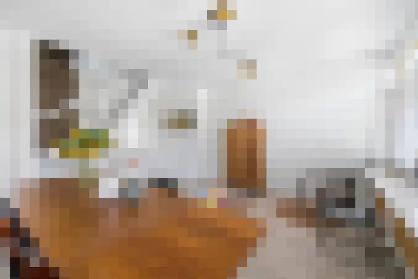 Agrippinastraat 24 Voorburg thumbnail 21