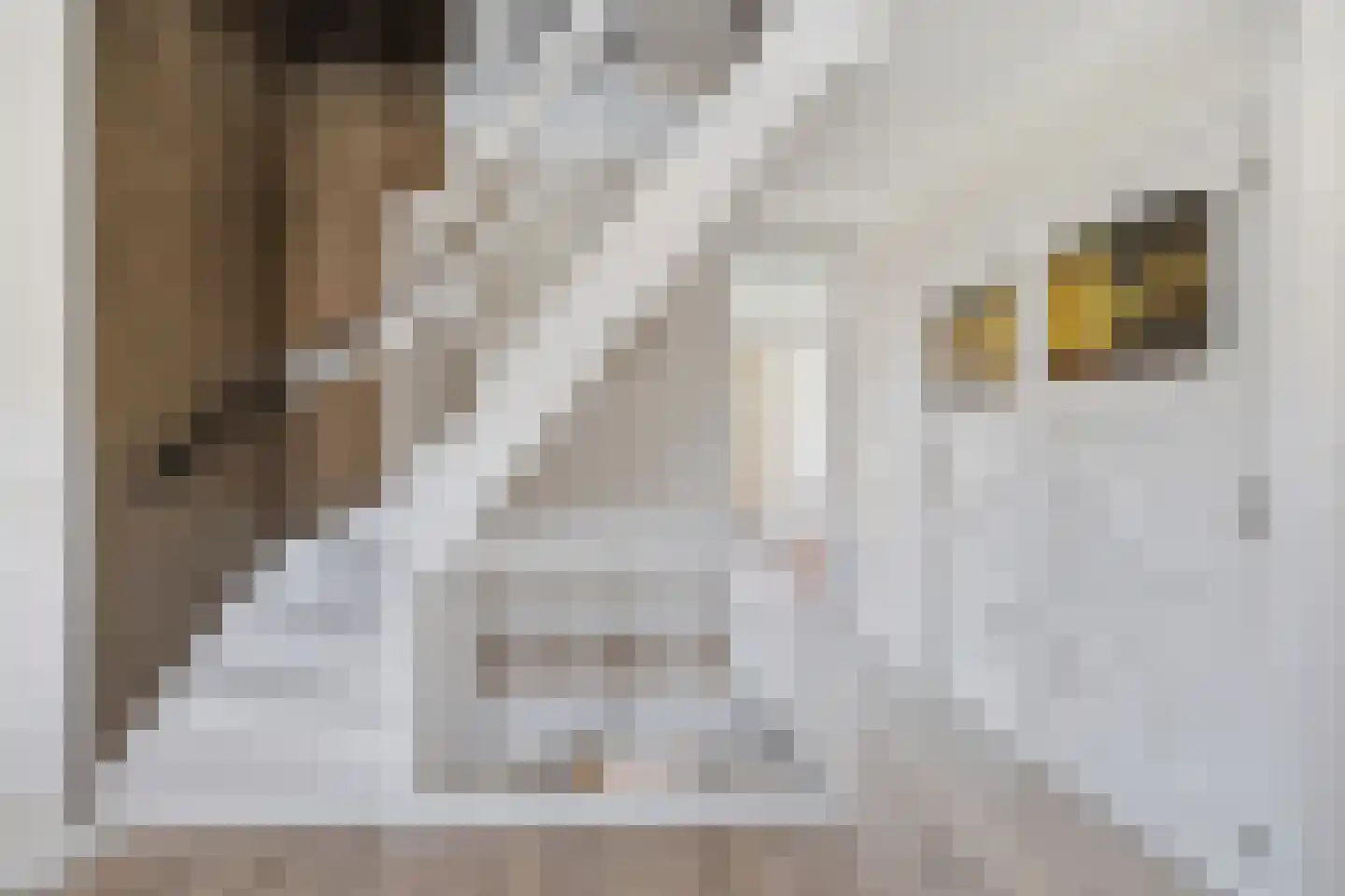 Agrippinastraat 24 Voorburg thumbnail 23
