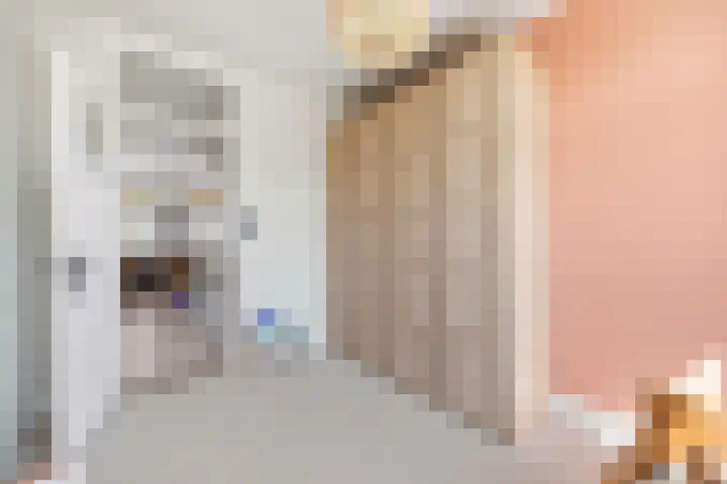 Agrippinastraat 24 Voorburg thumbnail 25