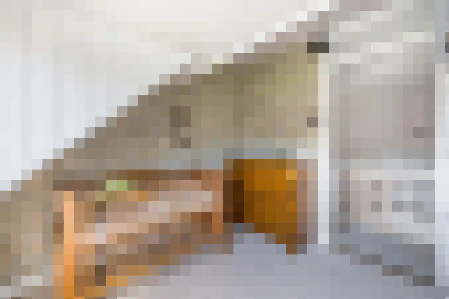 Agrippinastraat 24 Voorburg thumbnail 32
