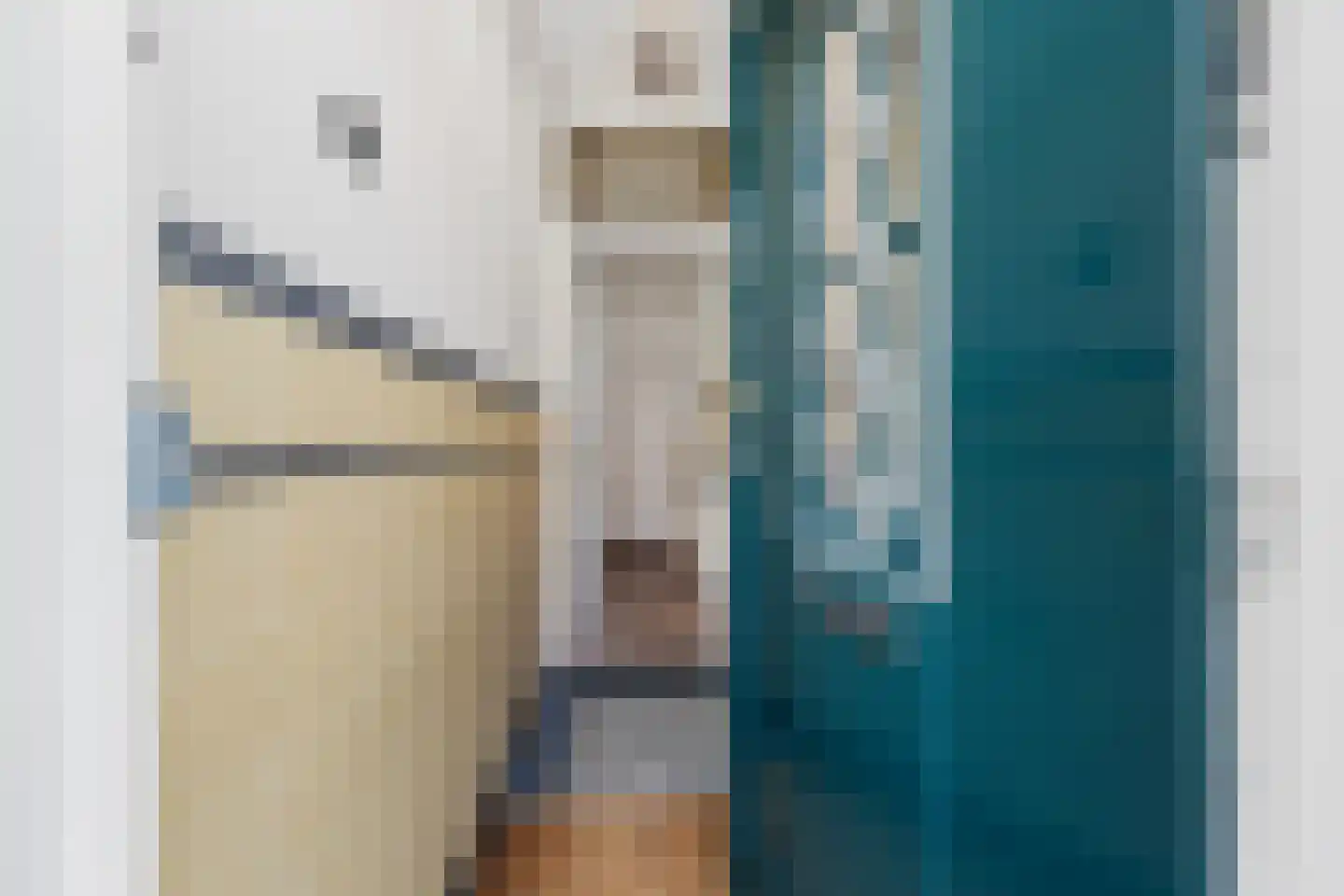 Agrippinastraat 24 Voorburg thumbnail 5