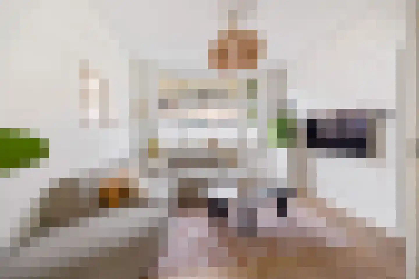 Agrippinastraat 24 Voorburg thumbnail 6