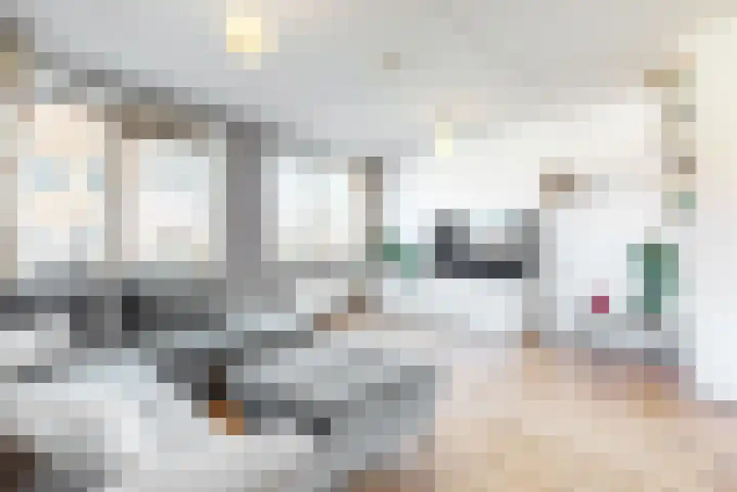 Agrippinastraat 25 A Leiden thumbnail 15