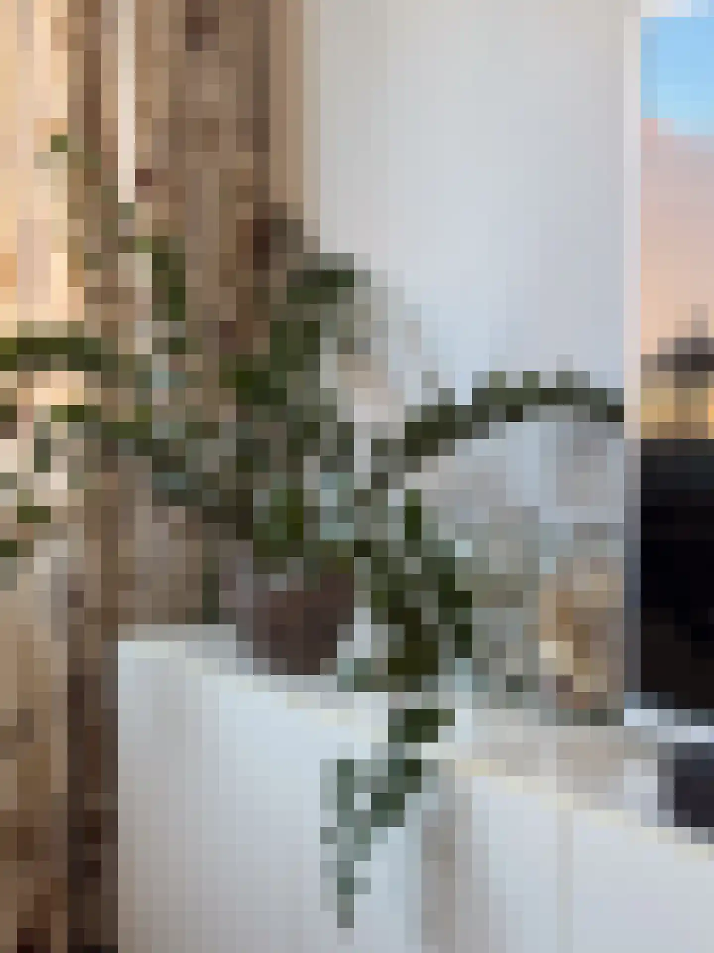 Agrippinastraat 25 Leiden thumbnail 18