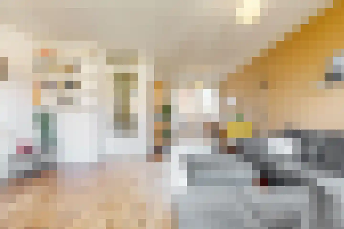 Agrippinastraat 25 Leiden thumbnail 20