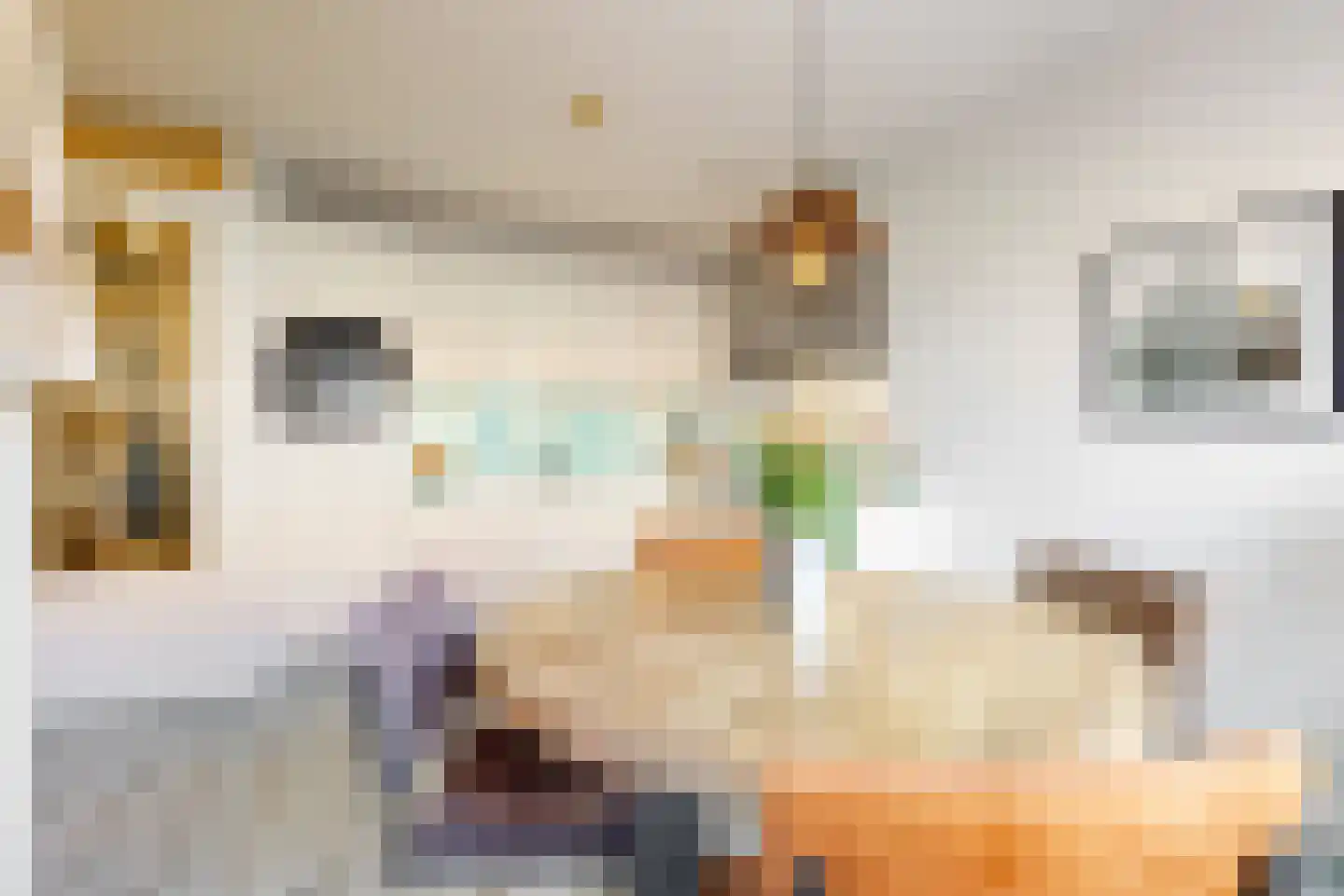 Agrippinastraat 25 Leiden thumbnail 6