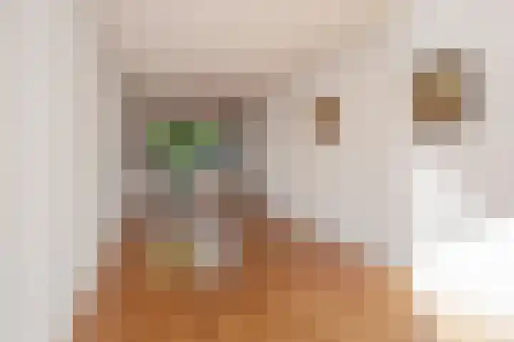 Agrippinastraat 27 Voorburg thumbnail 11