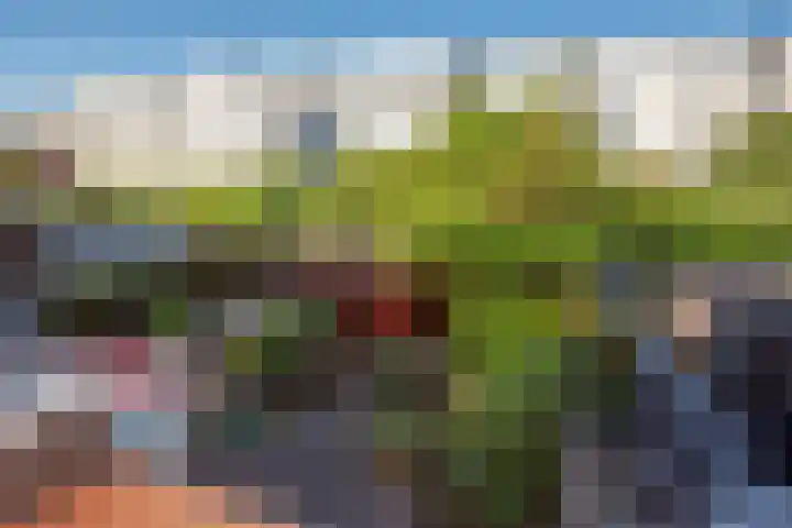 Agrippinastraat 27 Voorburg thumbnail 23
