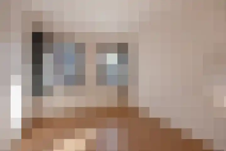 Agrippinastraat 27 Voorburg thumbnail 24