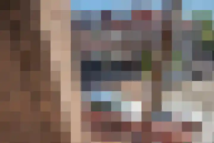 Agrippinastraat 27 Voorburg thumbnail 27