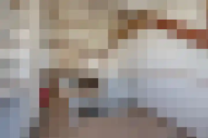 Agrippinastraat 27 Voorburg thumbnail 30