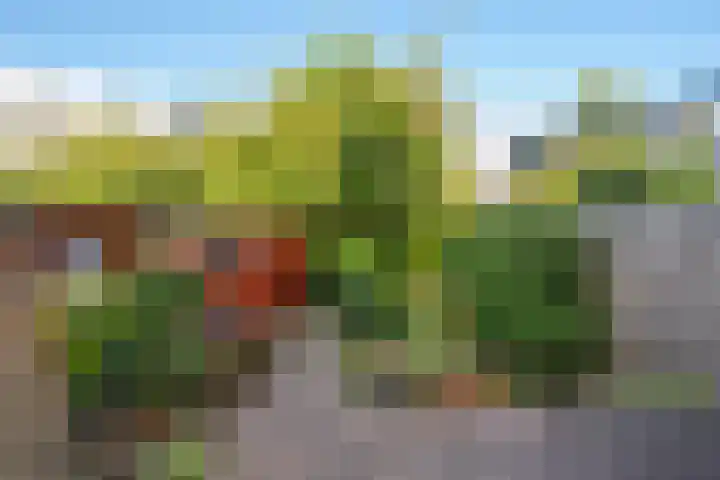 Agrippinastraat 27 Voorburg thumbnail 4