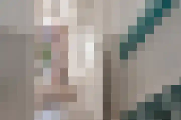 Agrippinastraat 27 Voorburg thumbnail 7