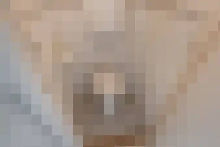 Agrippinastraat 27 Voorburg thumbnail 8