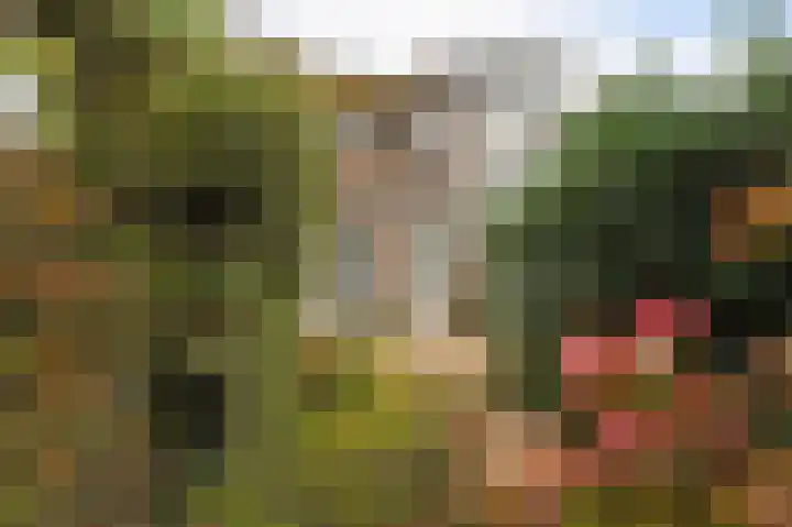 Agrippinastraat 49 Voorburg thumbnail 13