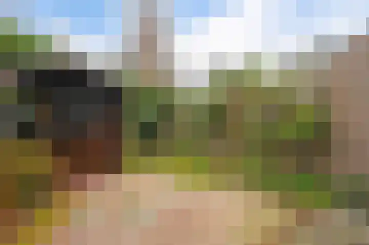 Agrippinastraat 49 Voorburg thumbnail 15