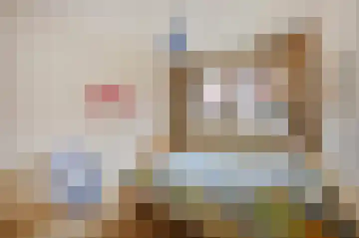 Agrippinastraat 49 Voorburg thumbnail 19