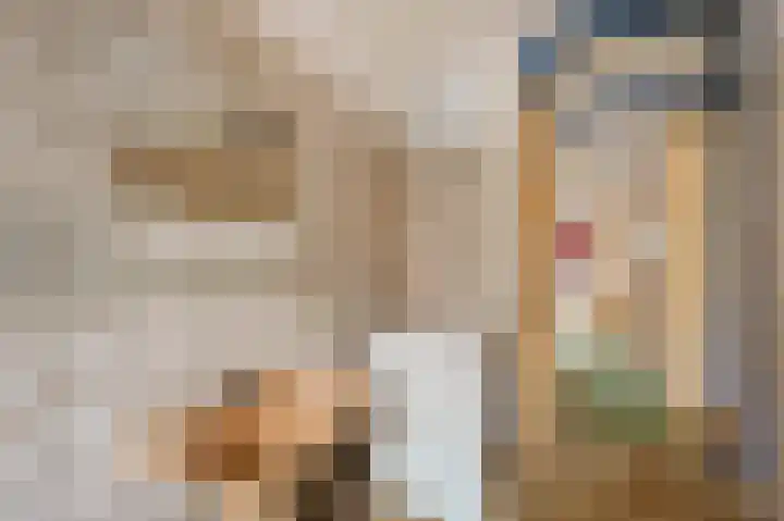 Agrippinastraat 49 Voorburg thumbnail 22
