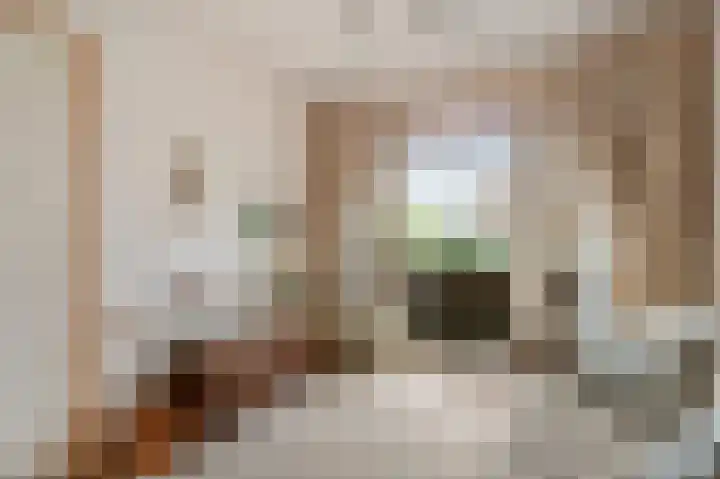 Agrippinastraat 49 Voorburg thumbnail 27