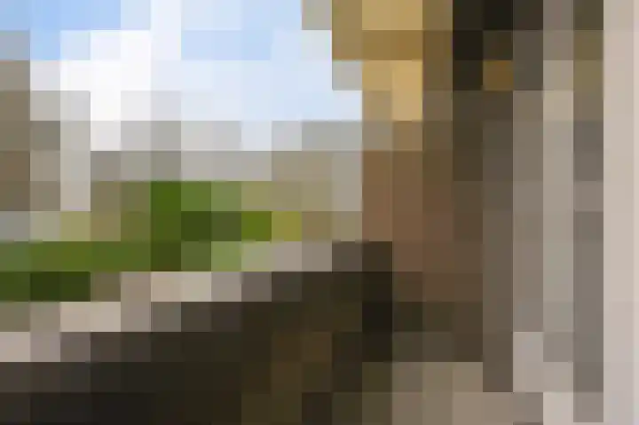Agrippinastraat 49 Voorburg thumbnail 28