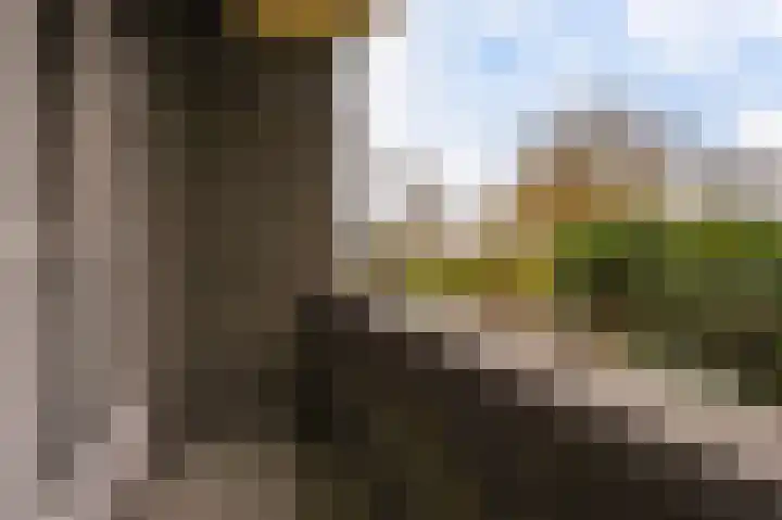 Agrippinastraat 49 Voorburg thumbnail 29