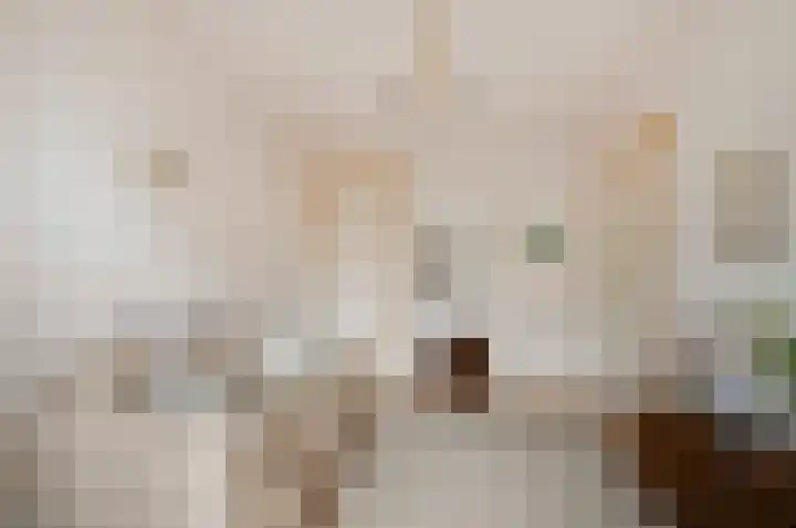Agrippinastraat 49 Voorburg thumbnail 30