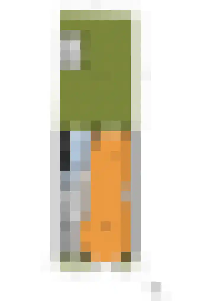Agrippinastraat 49 Voorburg thumbnail 39