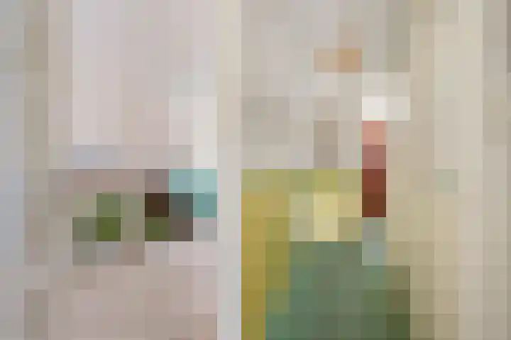 Agrippinastraat 49 Voorburg thumbnail 5