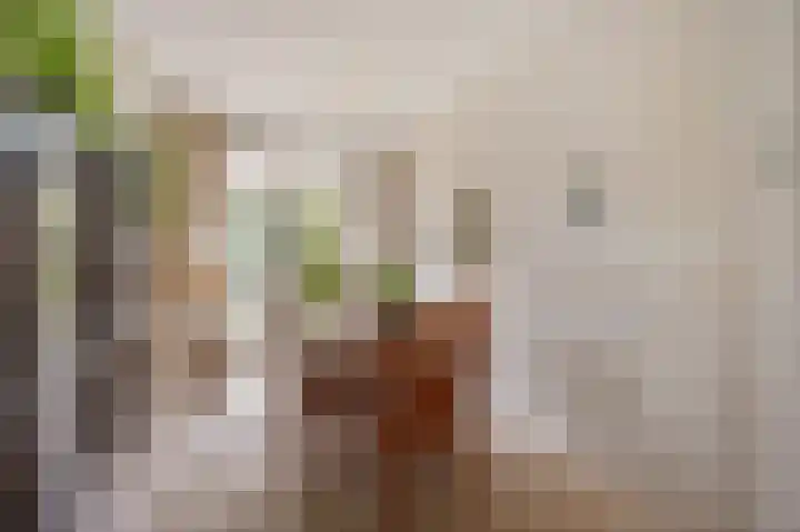 Agrippinastraat 49 Voorburg thumbnail 7