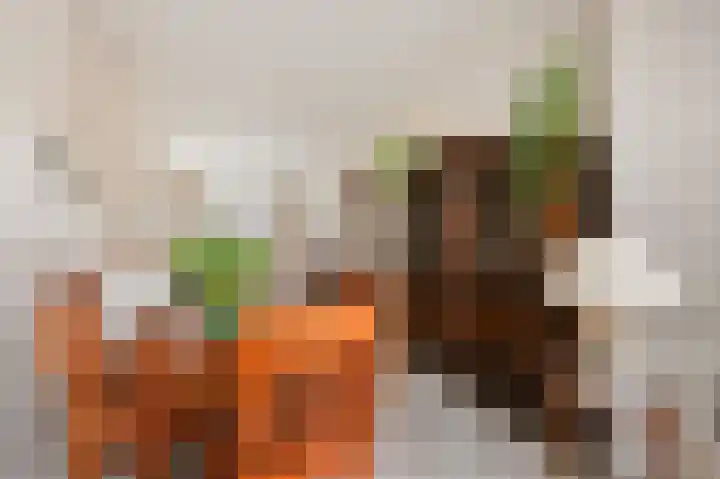 Agrippinastraat 49 Voorburg thumbnail 9