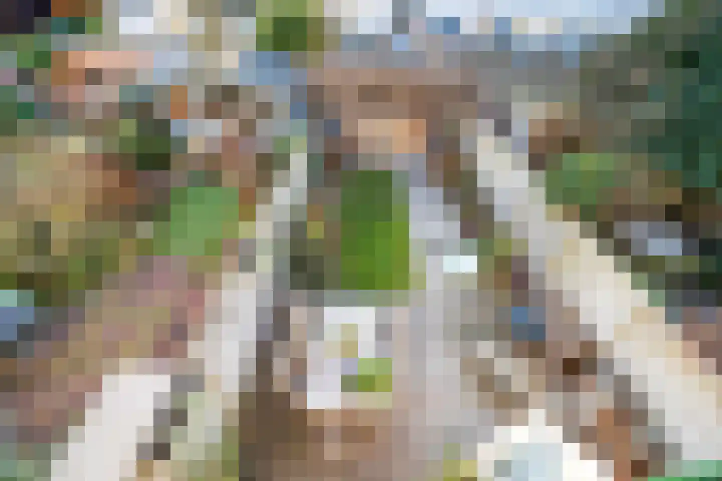 Agrippinastraat 7 Voorburg thumbnail 12