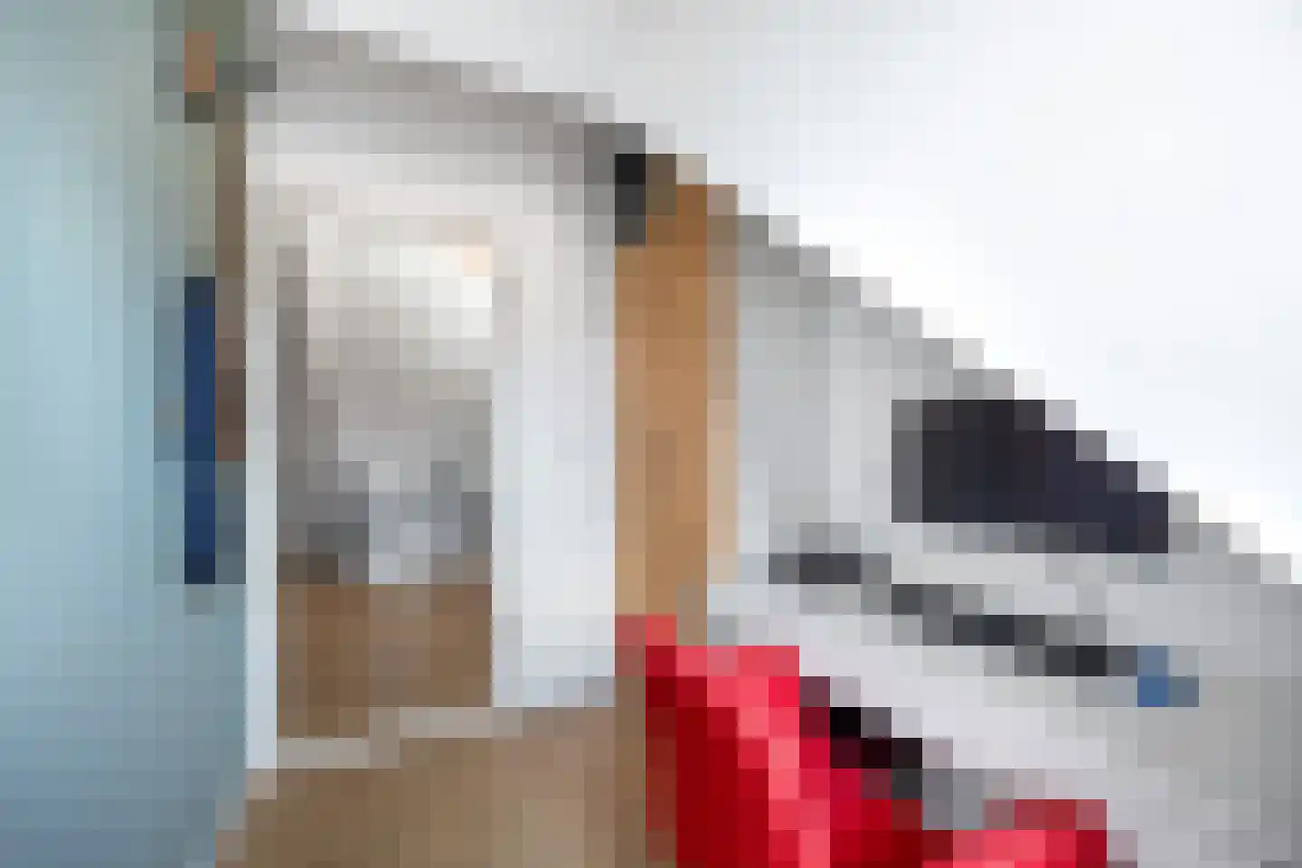 Agrippinastraat 7 Voorburg thumbnail 31