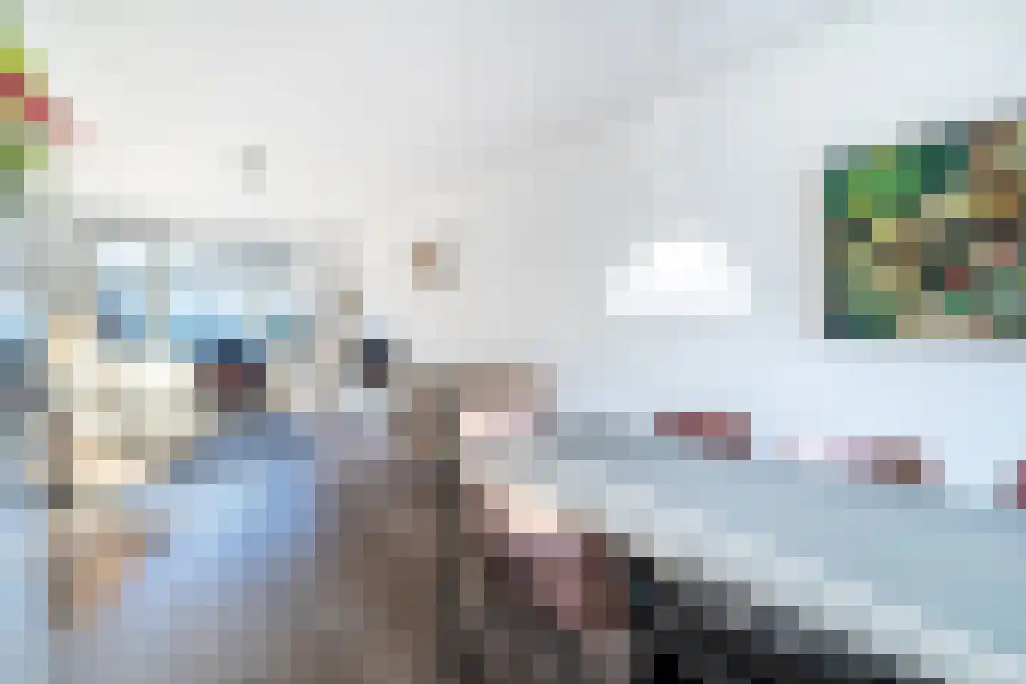Agrippinastraat 7 Voorburg thumbnail 6