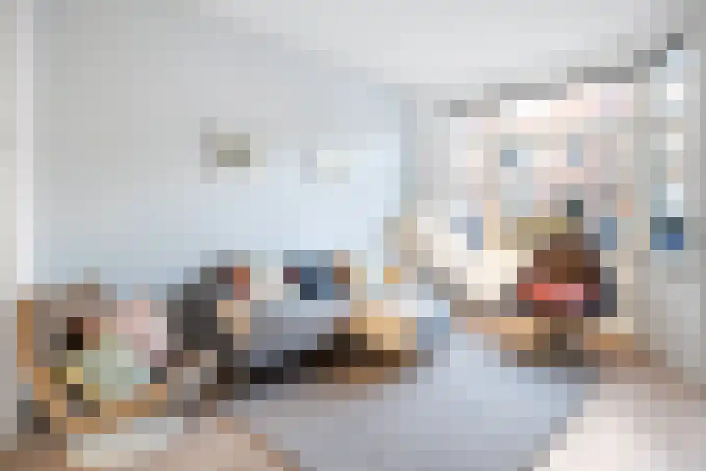Agrippinastraat 7 Voorburg thumbnail 7