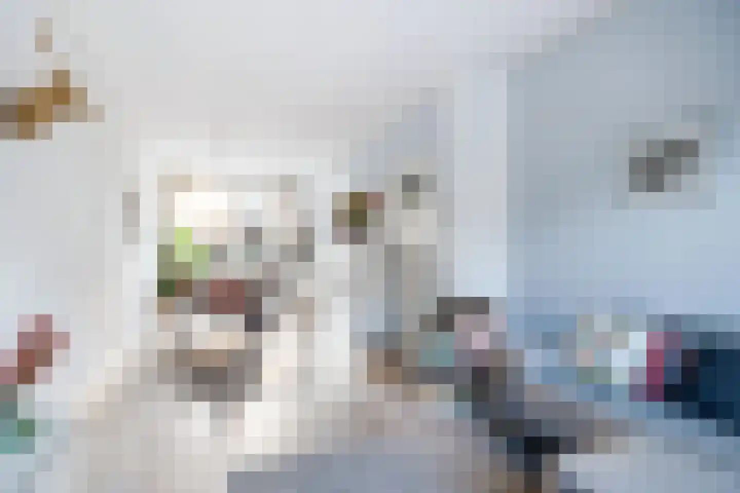 Agrippinastraat 7 Voorburg thumbnail 8