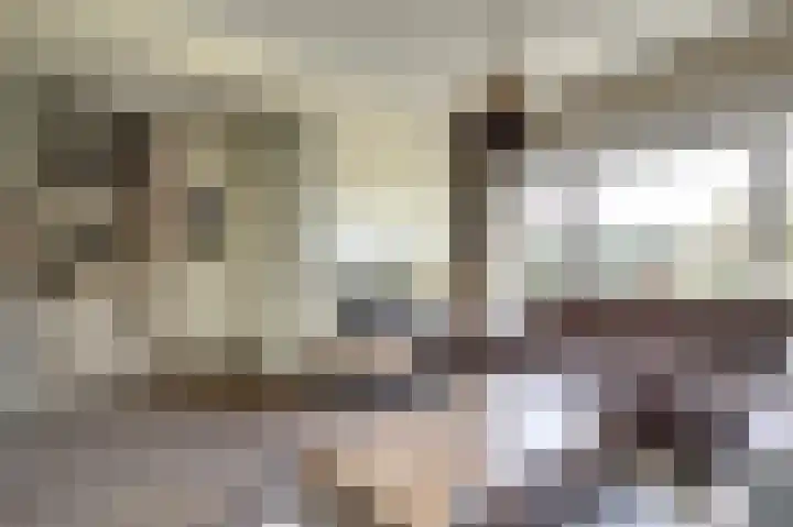 Agter de hoven 3 Wanssum thumbnail 10