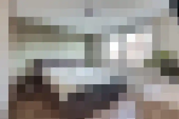 Agter de hoven 3 Wanssum thumbnail 19