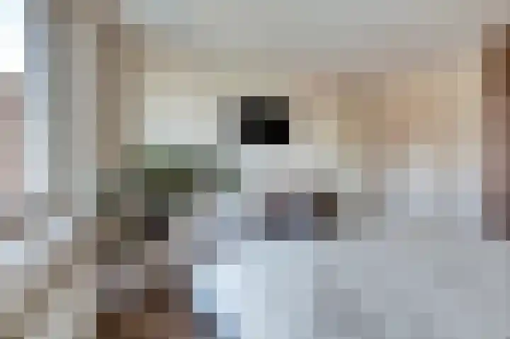 Agter de hoven 3 Wanssum thumbnail 20