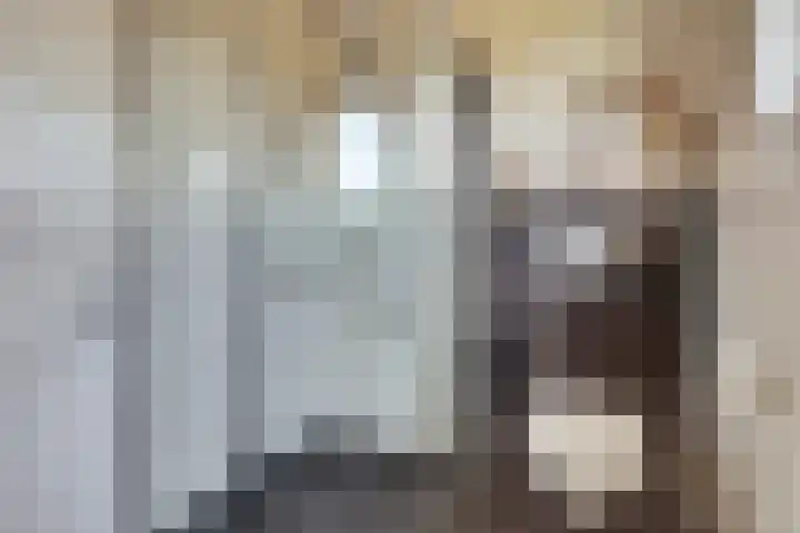 Agter de hoven 3 Wanssum thumbnail 24