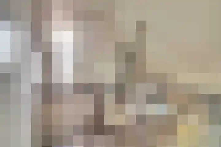 Agter de hoven 3 Wanssum thumbnail 27